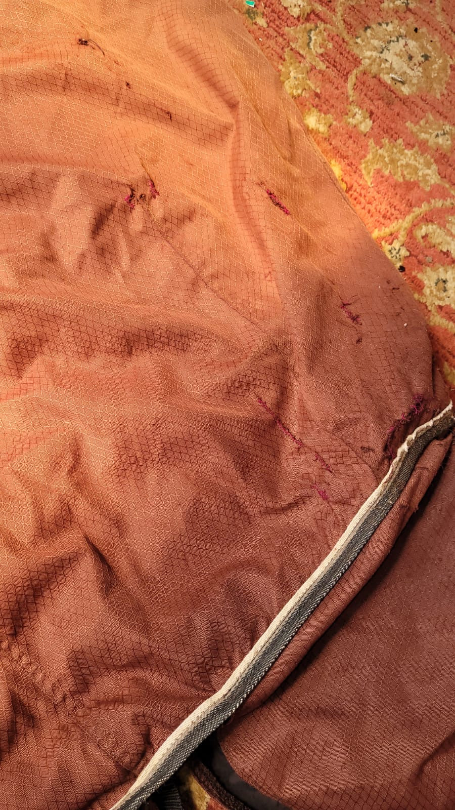 ✨ Preloved 6’3ft Medium Weight Turnout Rug ✨
• Preloved