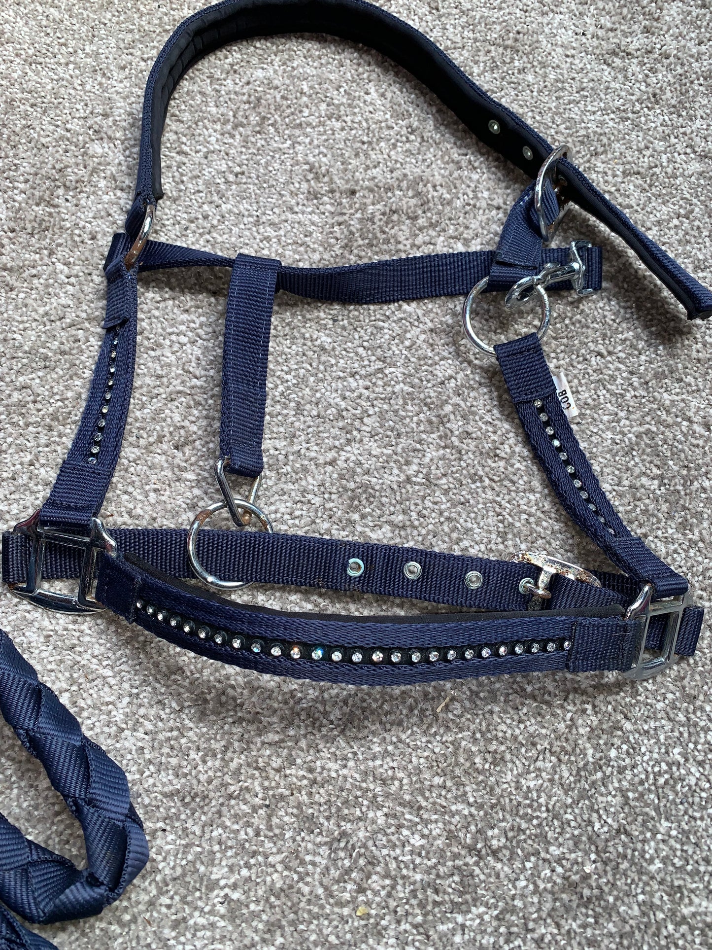 ✨ Preloved Cob Size Headcollar & Leadrope ✨