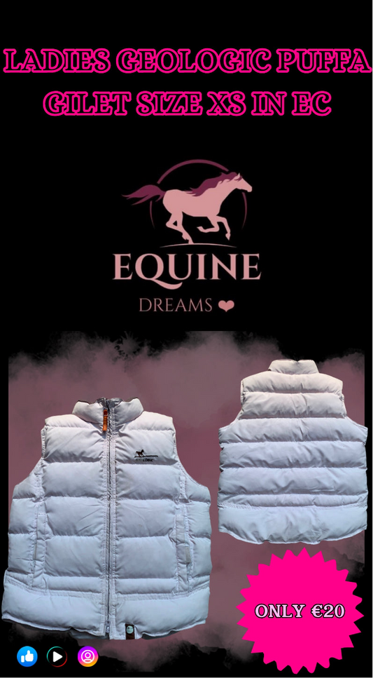 ✨ Ladies Puffa Gilet – Size XS ✨