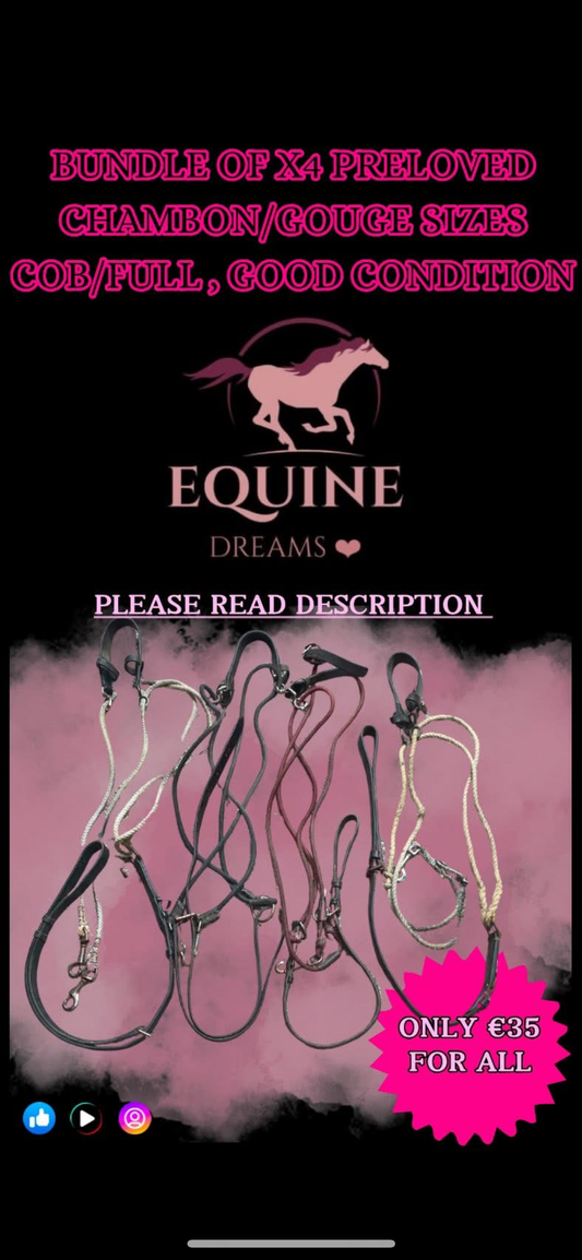 ✨ Bundle of 4 Preloved Chambons/Gougues ✨