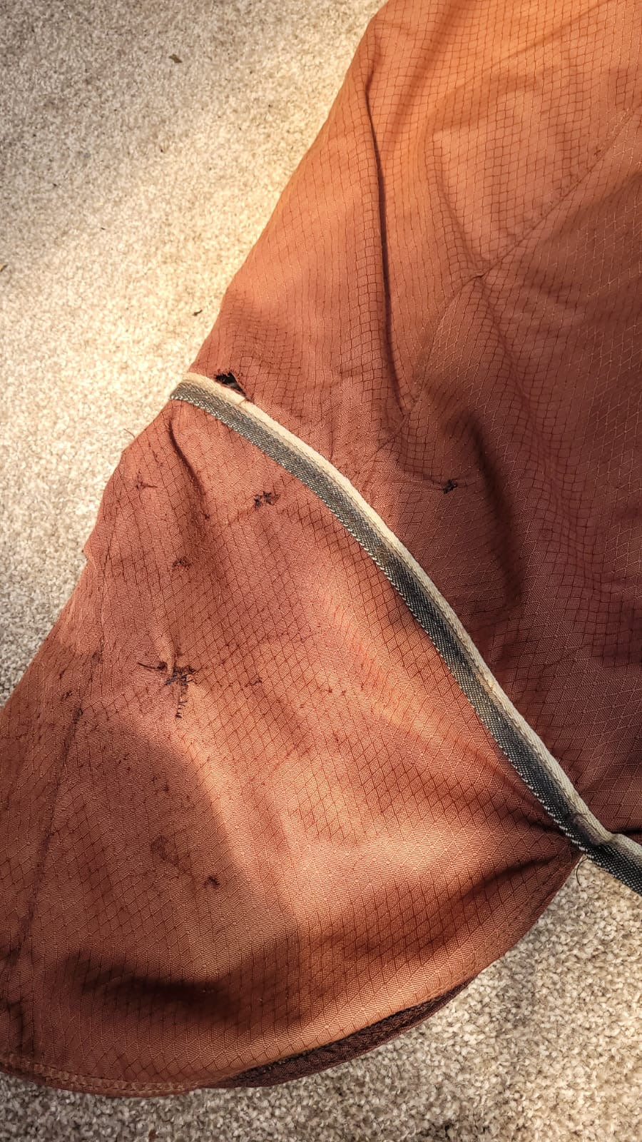 ✨ Preloved 6’3ft Medium Weight Turnout Rug ✨
• Preloved