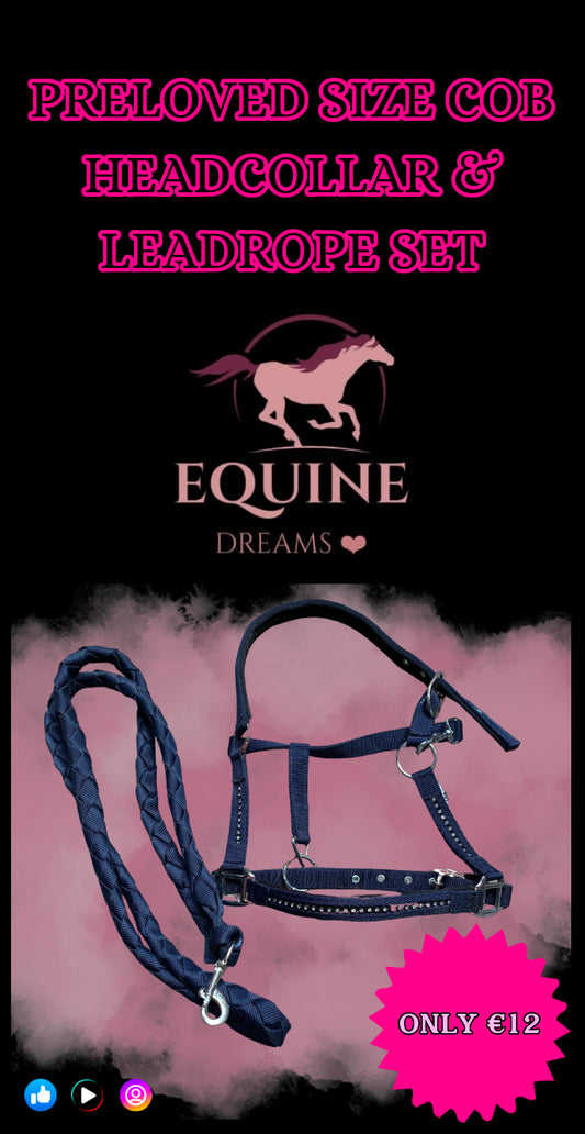 โจ Preloved Cob Size Headcollar & Leadrope โจ