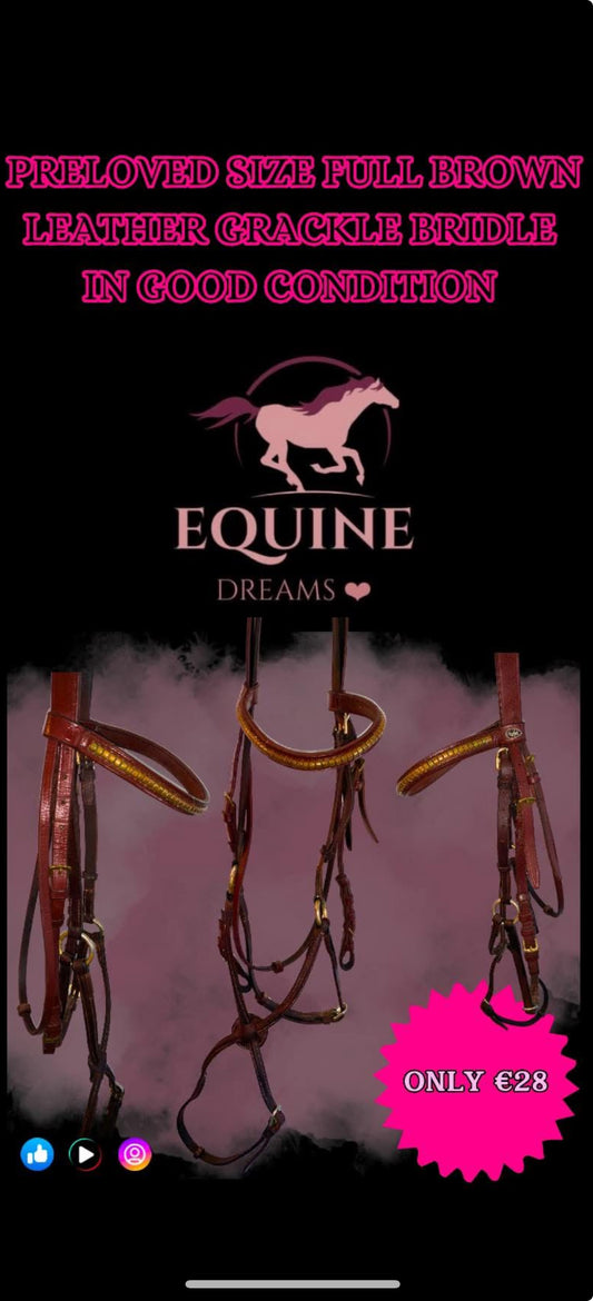 ✨ Preloved Brown Grackle Bridle with Brass Browband – Size Full ✨