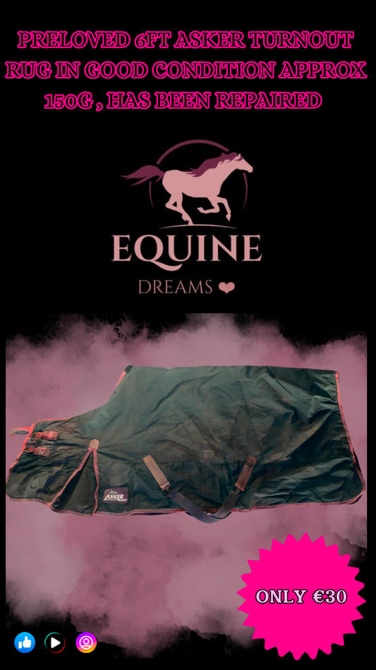 โจ Preloved Asker Turnout Rug โ Size 6ft โจ