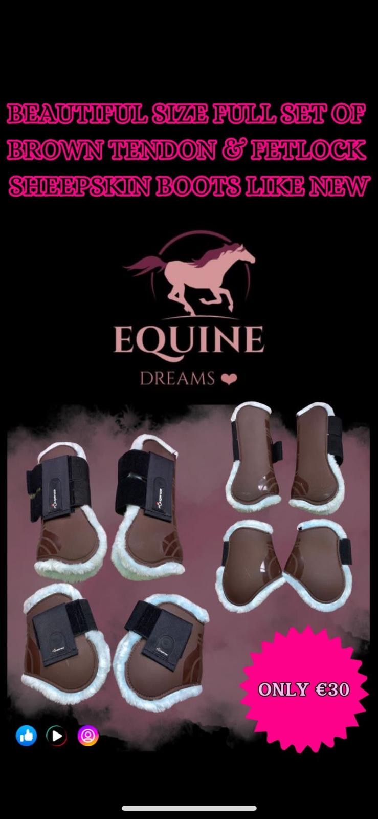 ✨ Preloved Full Set of Tendon & Fetlock Boots – Size Full ✨