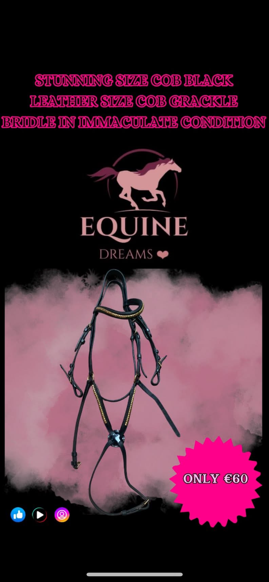 🐴 Absolutely Stunning Black Grackle Leather Bridle – Size Cob 🐴