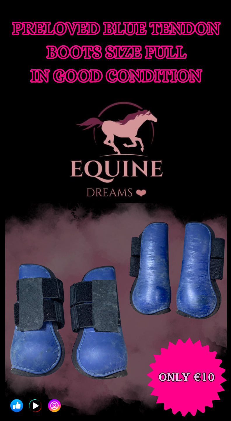 ✨ Preloved Size Full Tendon Boots ✨