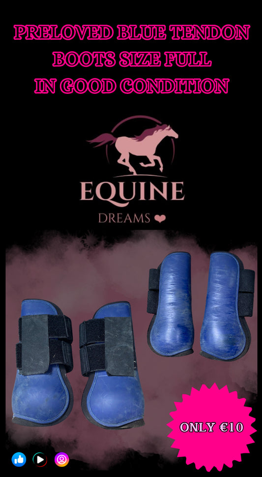 ✨ Preloved Size Full Tendon Boots ✨