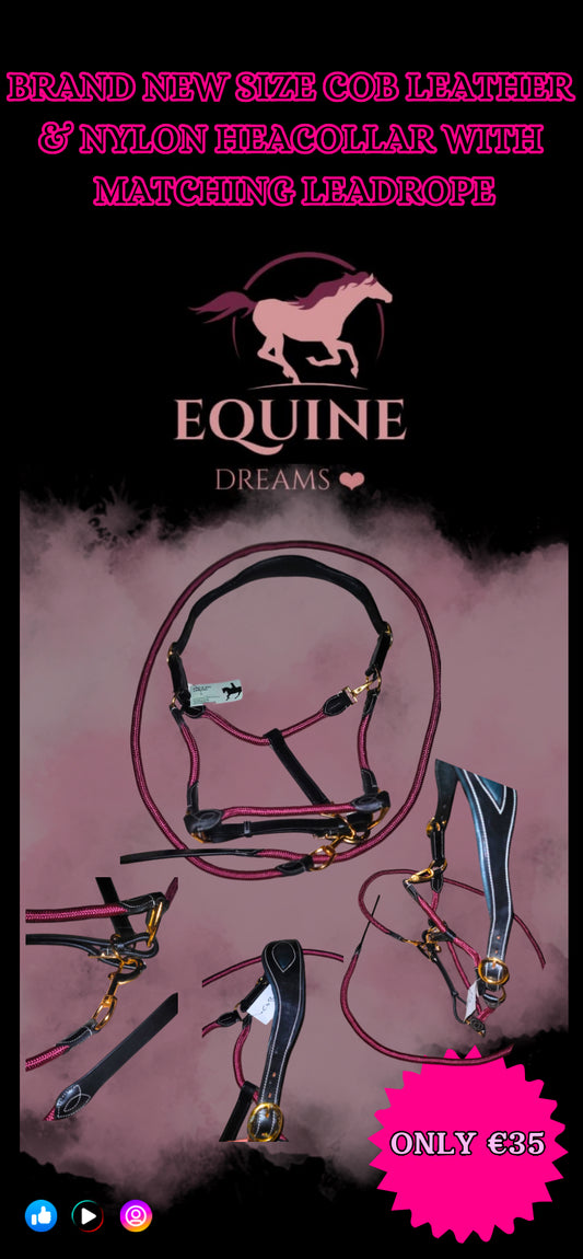 โจ Brand New Leather & Nylon Headcollar with Matching Leadrope โ Size Cob โจ