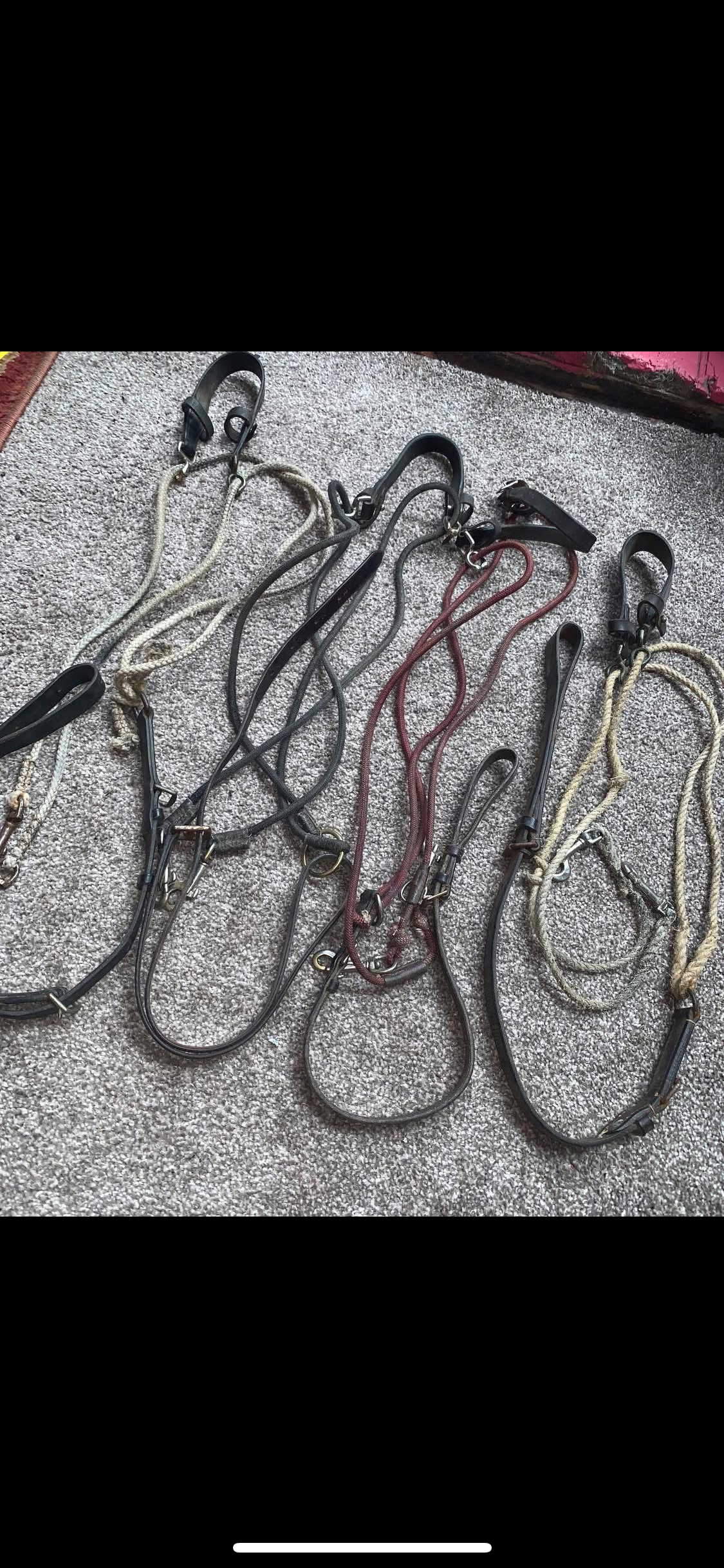 ✨ Bundle of 4 Preloved Chambons/Gougues ✨