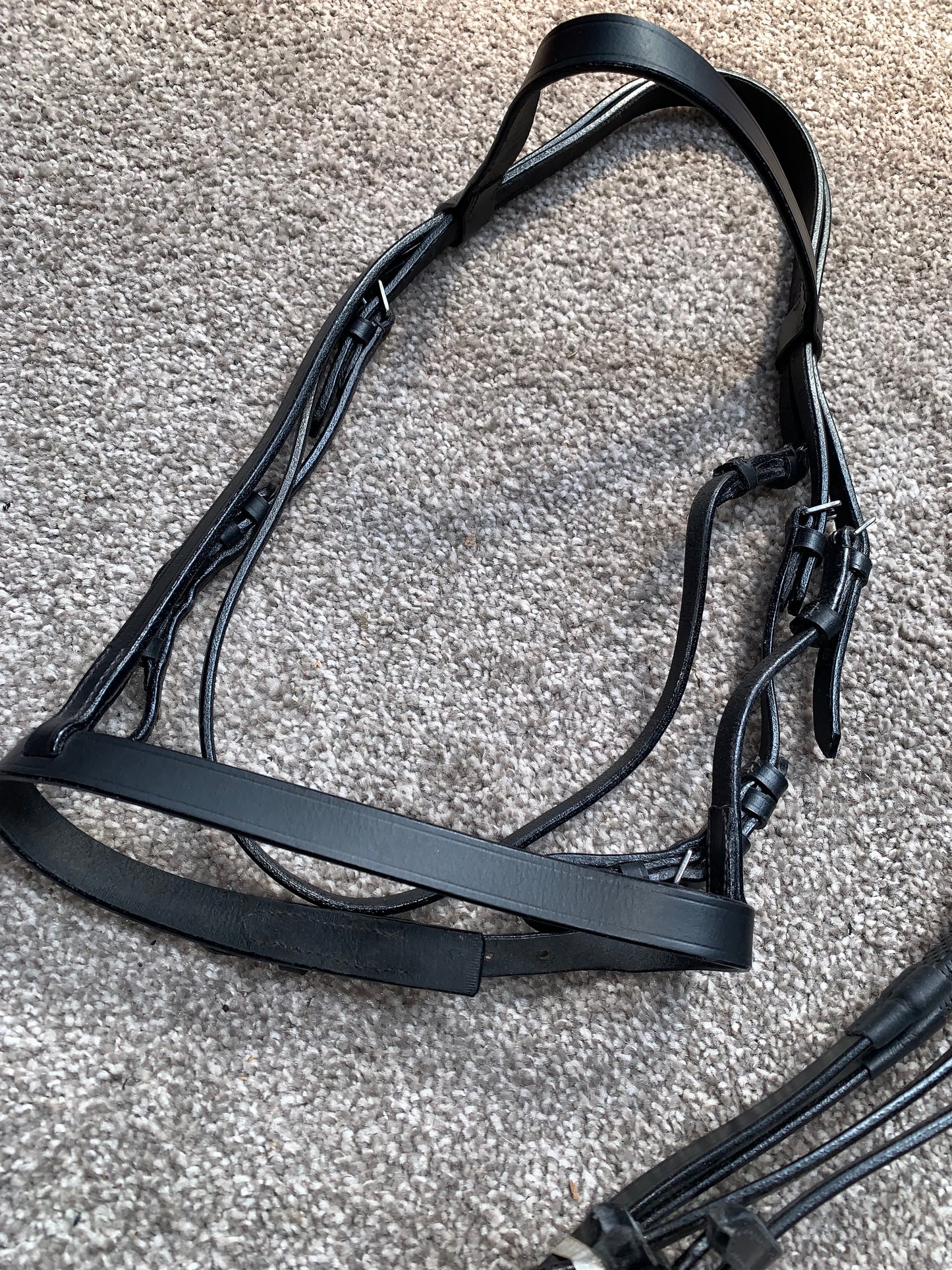 ✨ Brand New Black Show/Hunt Bridle + Mackey Rubber Grip Reins – Size Pony ✨