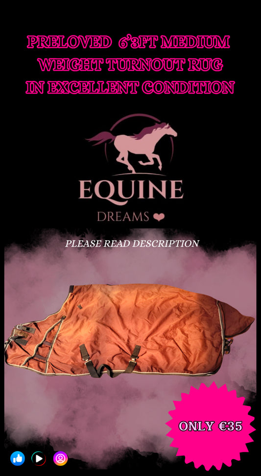 โจ Preloved 6โ3ft Medium Weight Turnout Rug โจ
โข Preloved