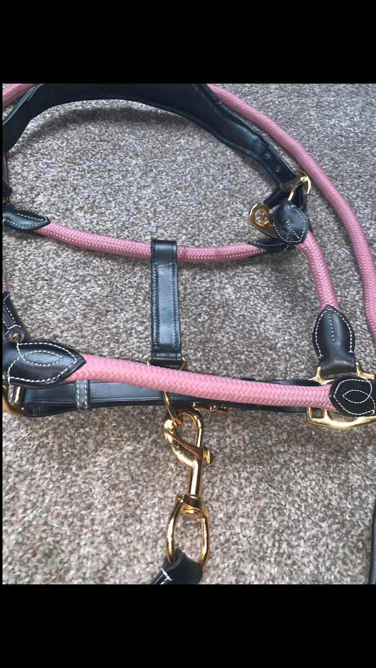 ๐ Stunning Brand New Baby Pink Leather & Nylon Headcollar & Leadrope Sets ๐