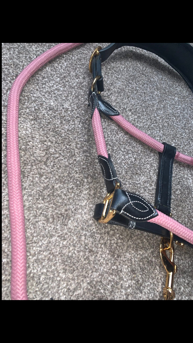 ๐ Stunning Brand New Baby Pink Leather & Nylon Headcollar & Leadrope Sets ๐