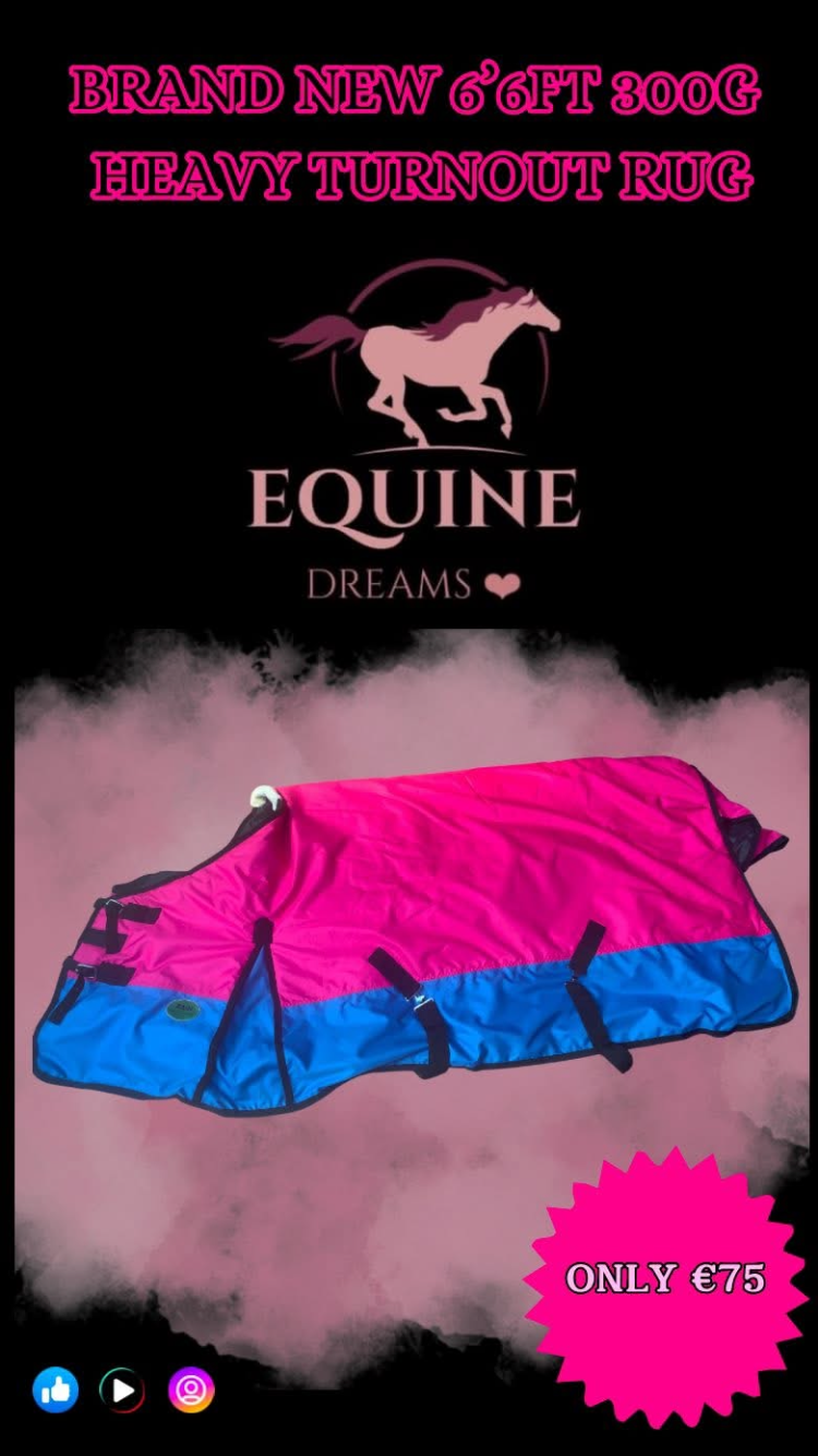 ๐ Brand New 6โ6ft 300g Heavy Turnout Rug โ Pink & Blue ๐