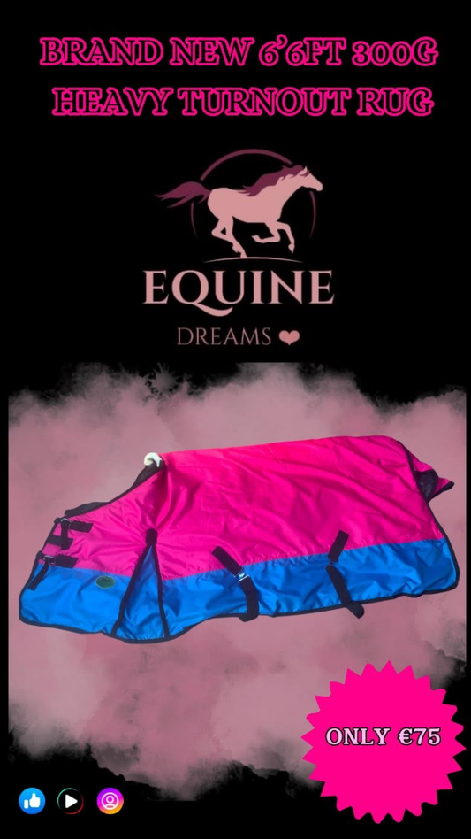 ๐ Brand New 6โ6ft 300g Heavy Turnout Rug โ Pink & Blue ๐