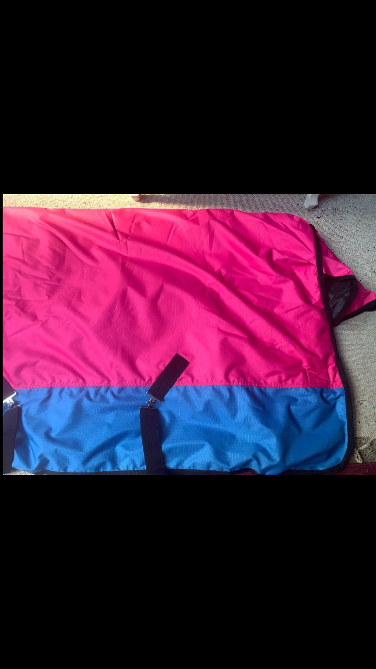 ๐ Brand New 6โ6ft 300g Heavy Turnout Rug โ Pink & Blue ๐