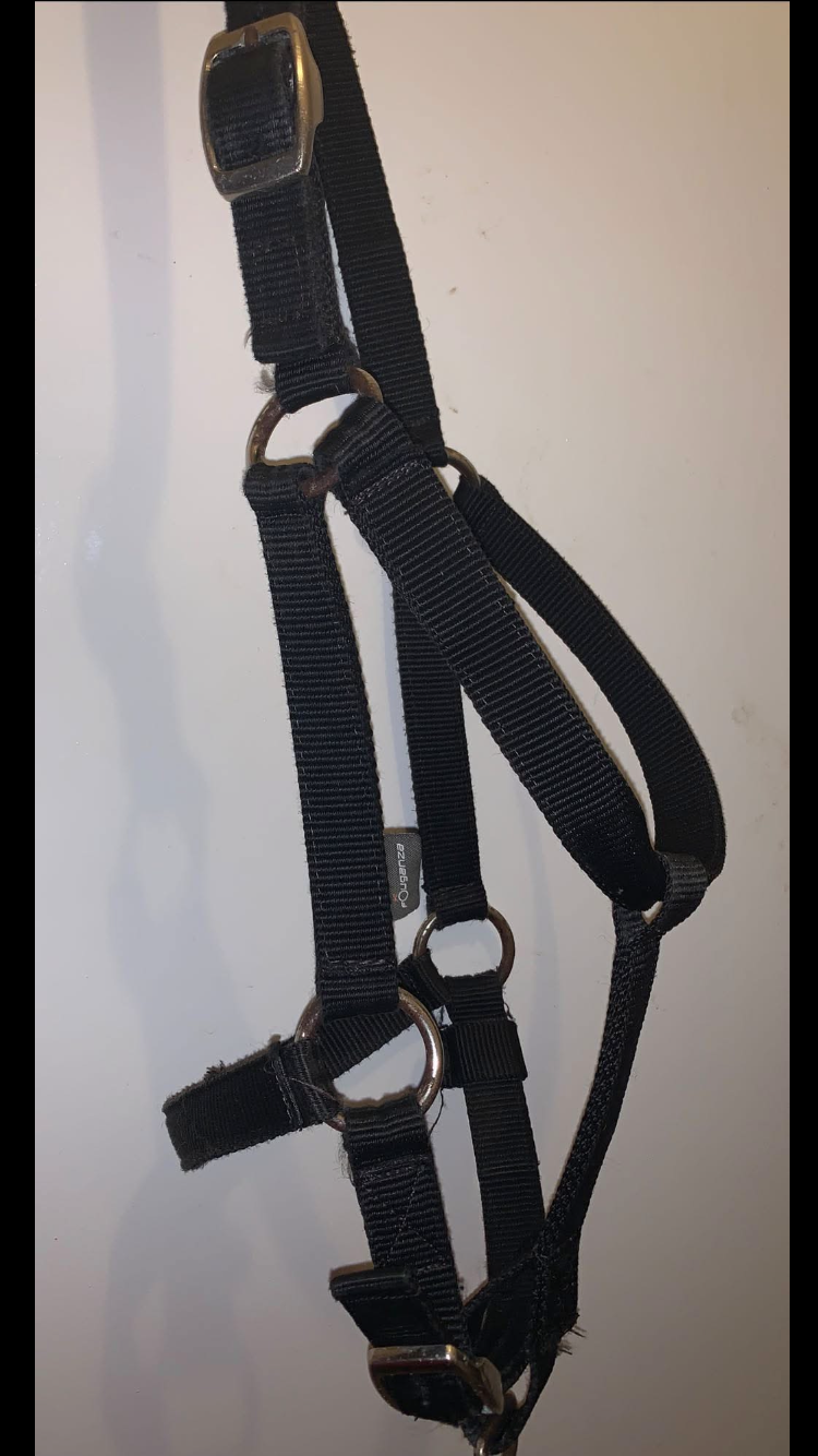 ๐ค Preloved Black Size Full Nylon Headcollar ๐ค