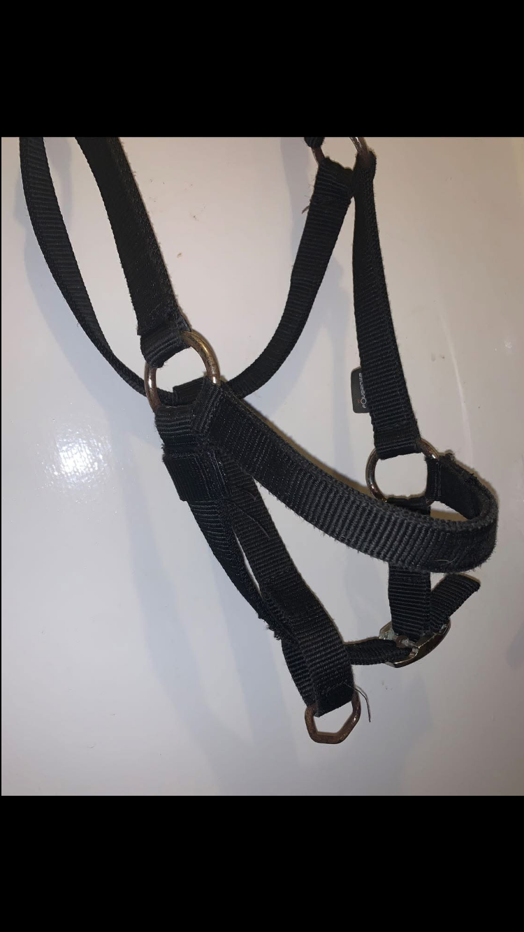 ๐ค Preloved Black Size Full Nylon Headcollar ๐ค