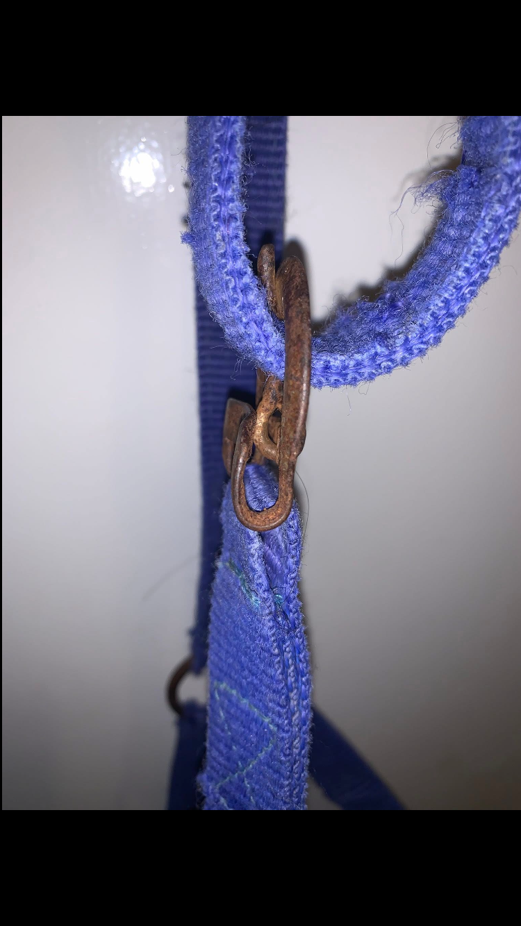 ๐ต Preloved Blue Size Full Nylon Headcollar ๐ต