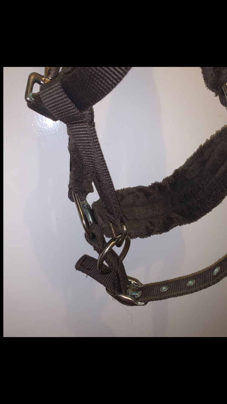 🤎 Preloved Brown Size Cob Semi-Wool Headcollar 🤎