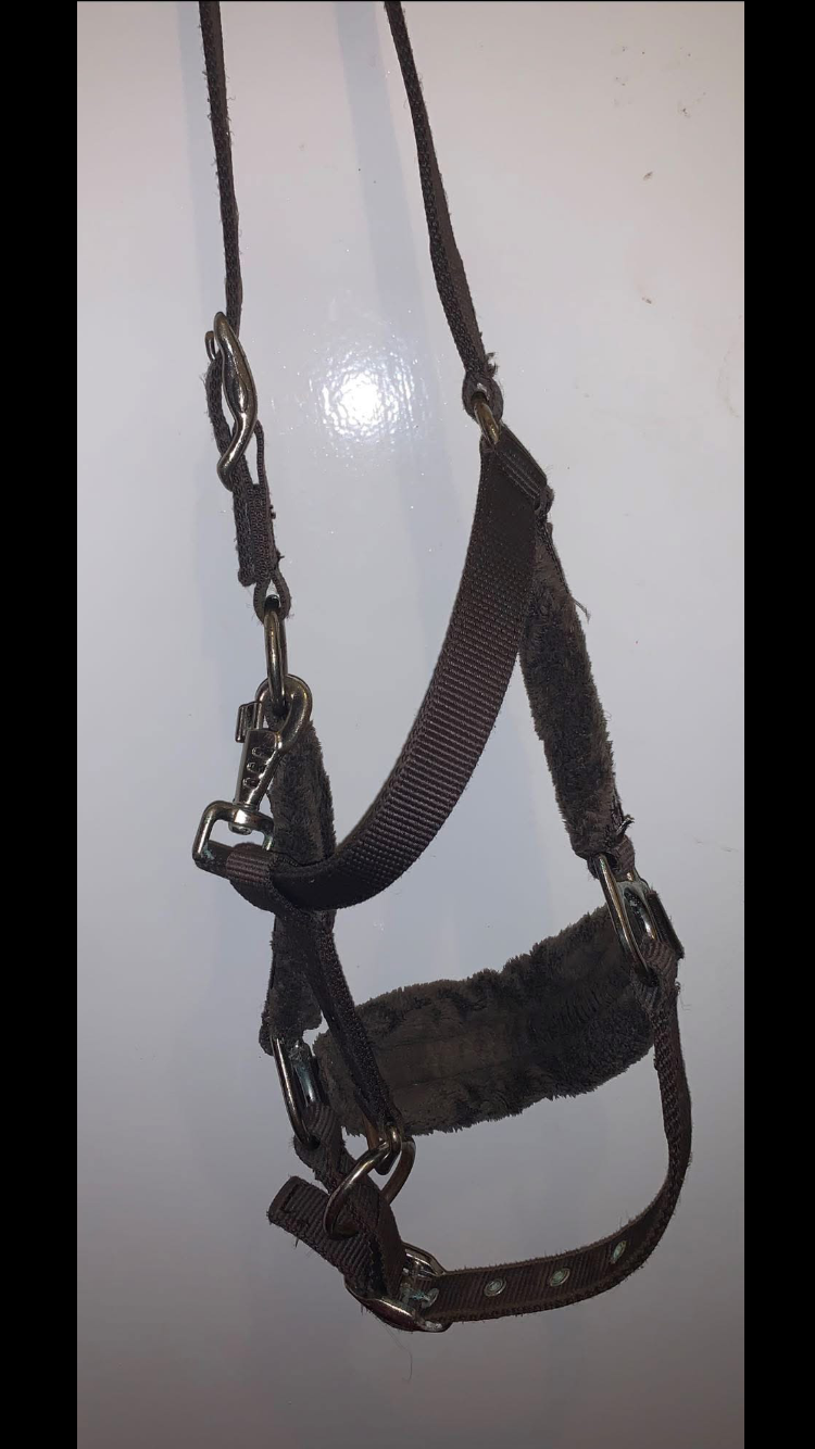 🤎 Preloved Brown Size Cob Semi-Wool Headcollar 🤎