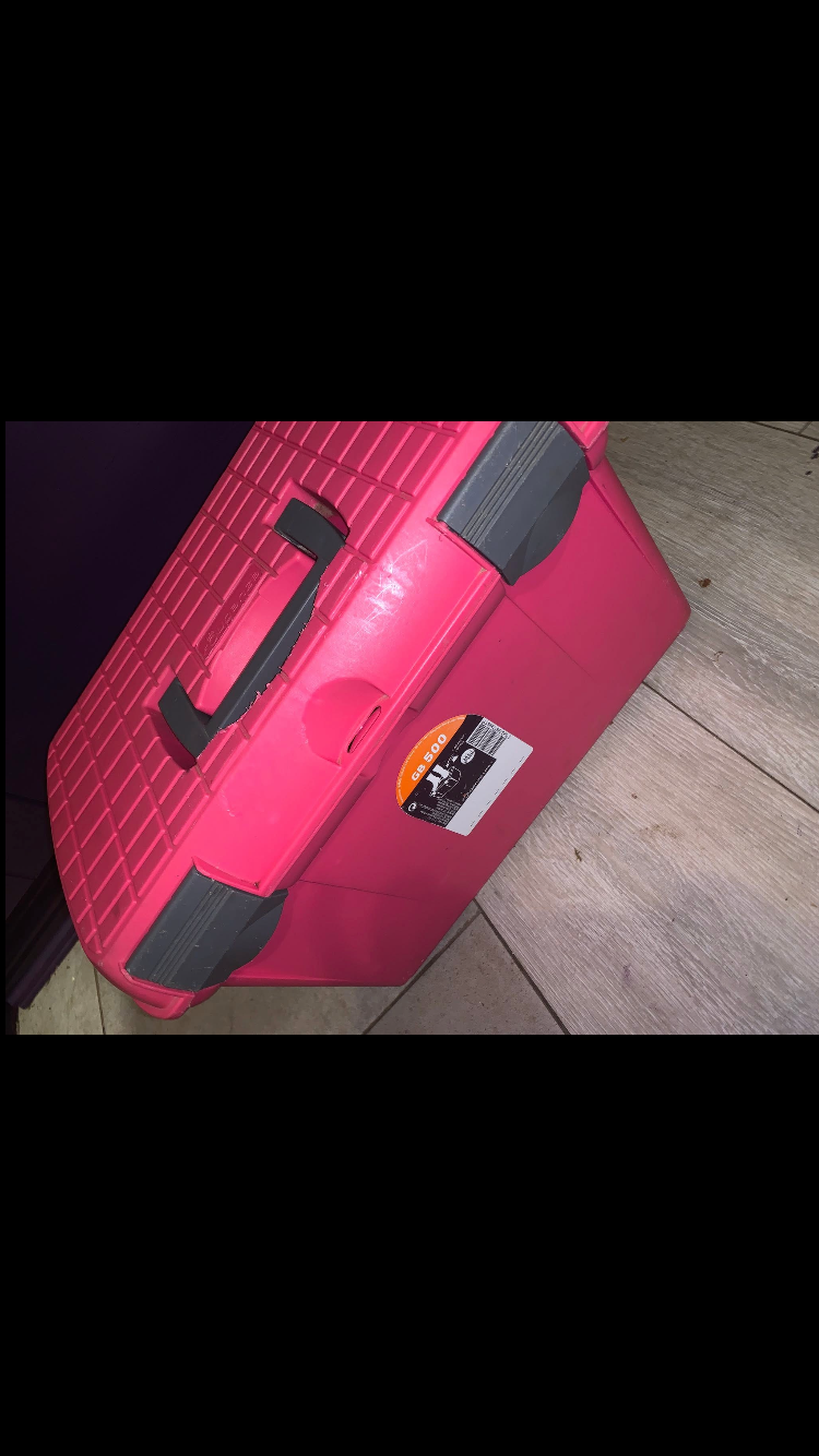 🪣 Like New Pink Large Grooming Box 🪣