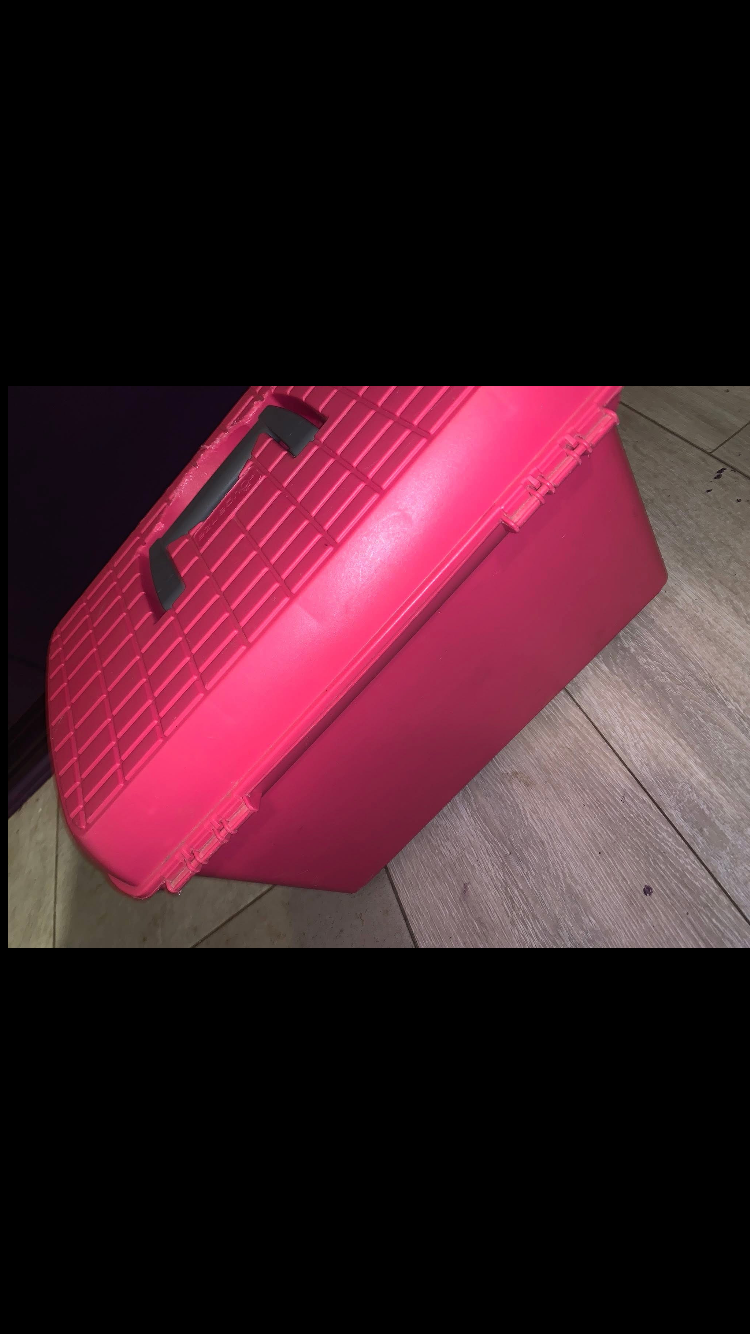 🪣 Like New Pink Large Grooming Box 🪣