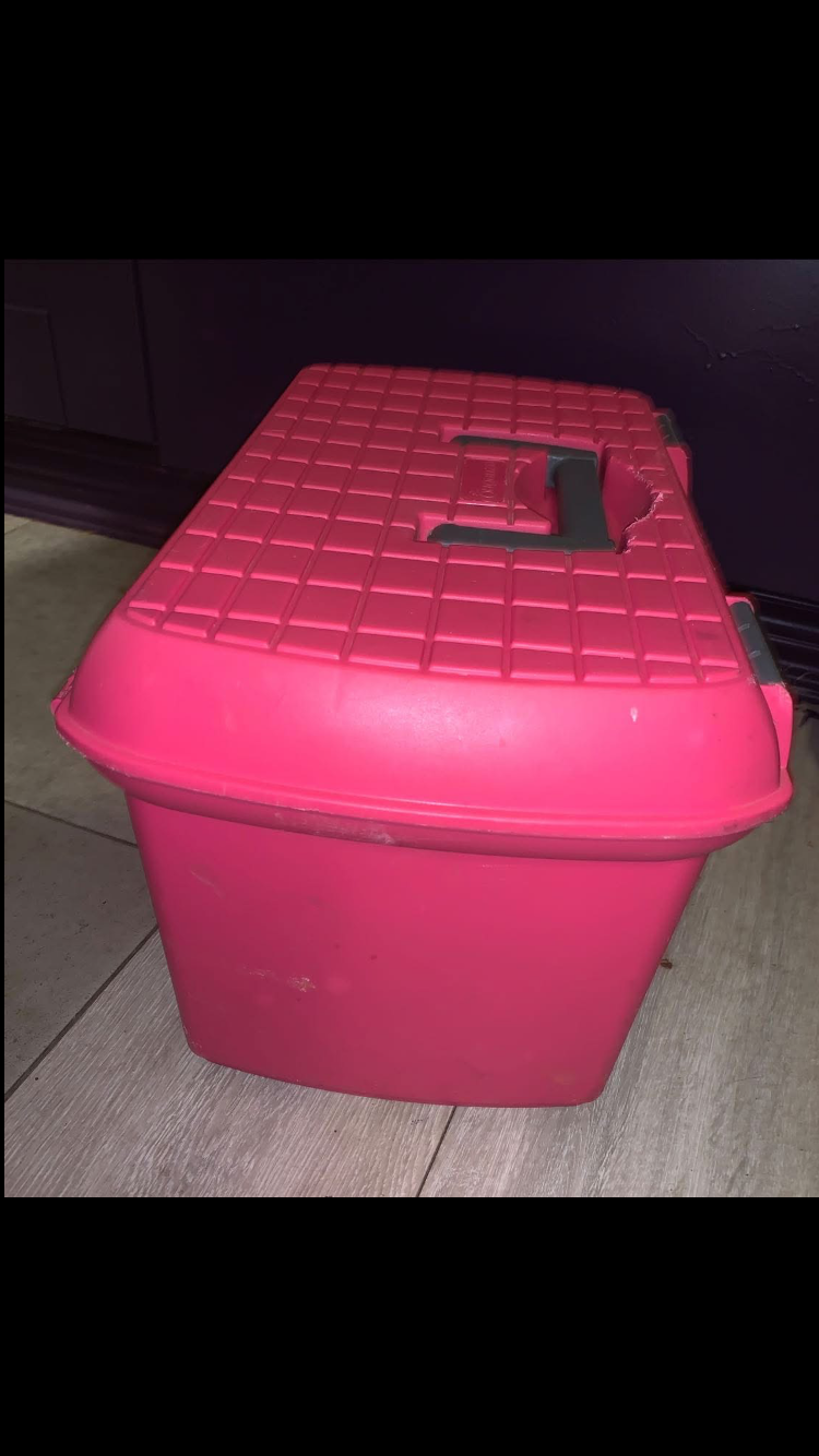 🪣 Like New Pink Large Grooming Box 🪣