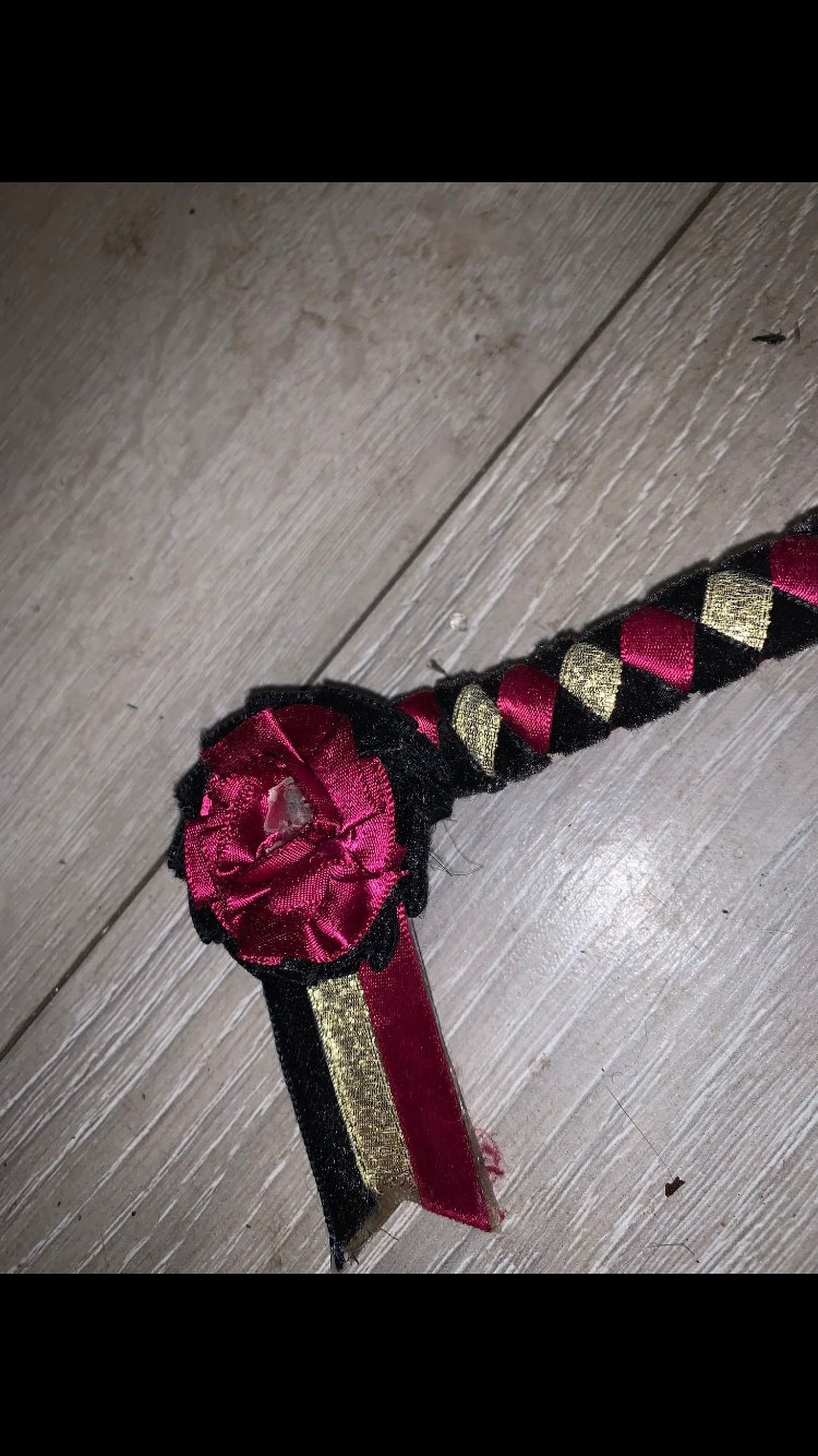✨ Preloved Size Pony Rosette Browband ✨