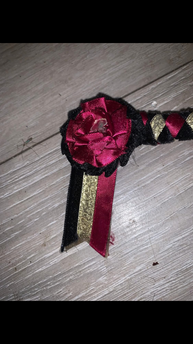 ✨ Preloved Size Pony Rosette Browband ✨