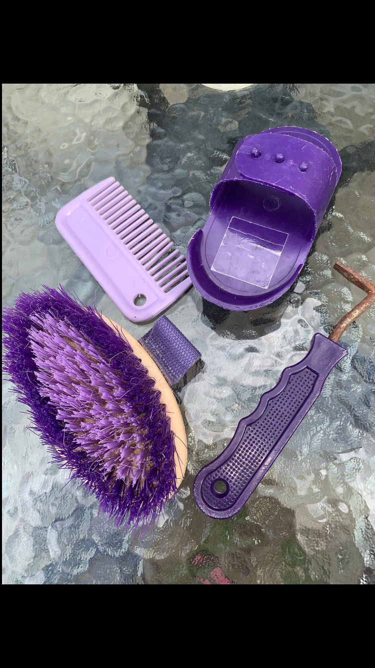 ✨ Preloved Kids Purple Grooming Bundle ✨
