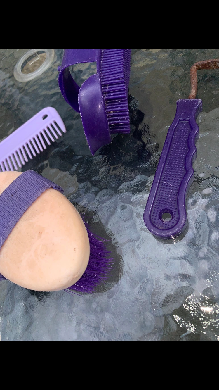 ✨ Preloved Kids Purple Grooming Bundle ✨