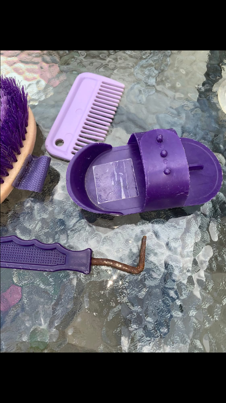 ✨ Preloved Kids Purple Grooming Bundle ✨