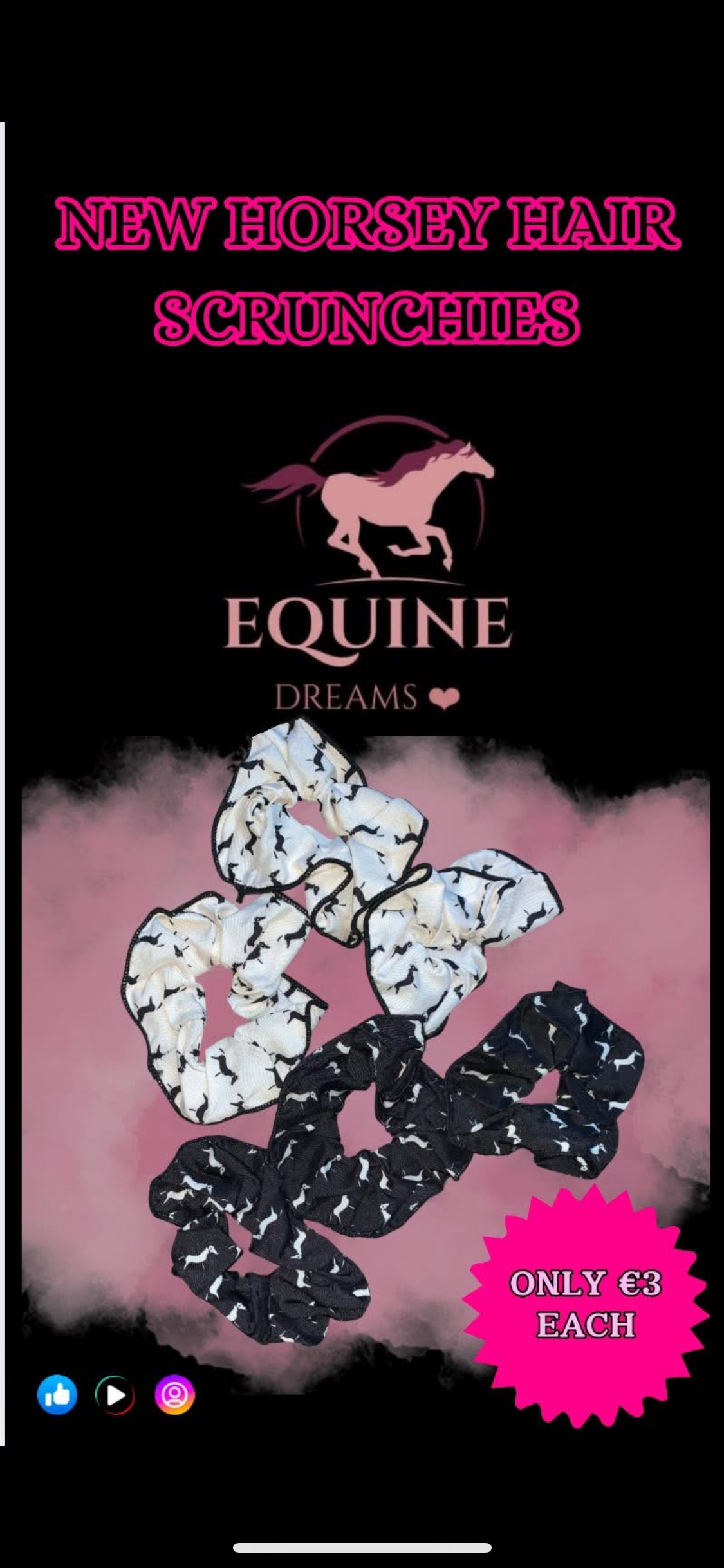 ✨ Brand New Horsey Hair Scrunchies ✨