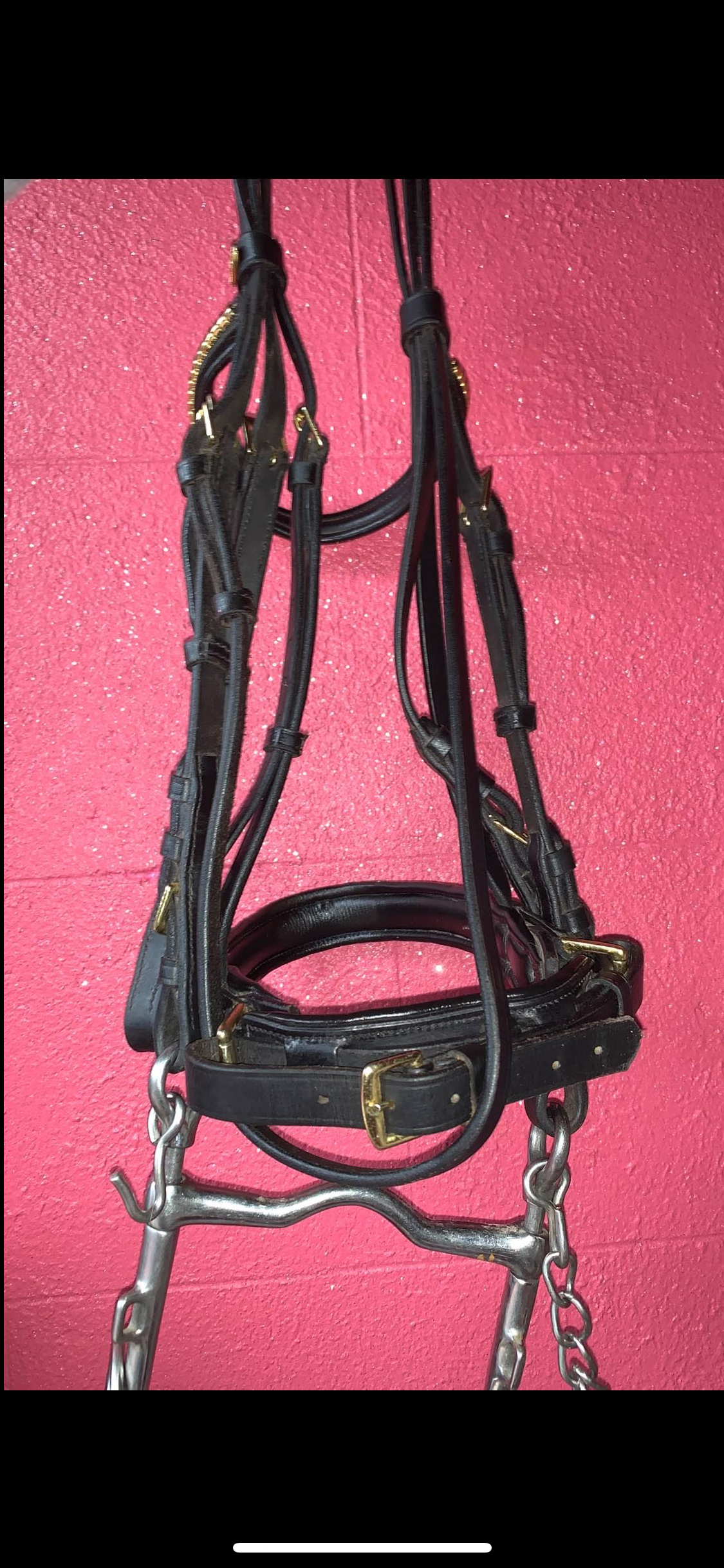 ✨ Stunning Black Soft Leather Double Bridle – Size Cob ✨ (bit included)
