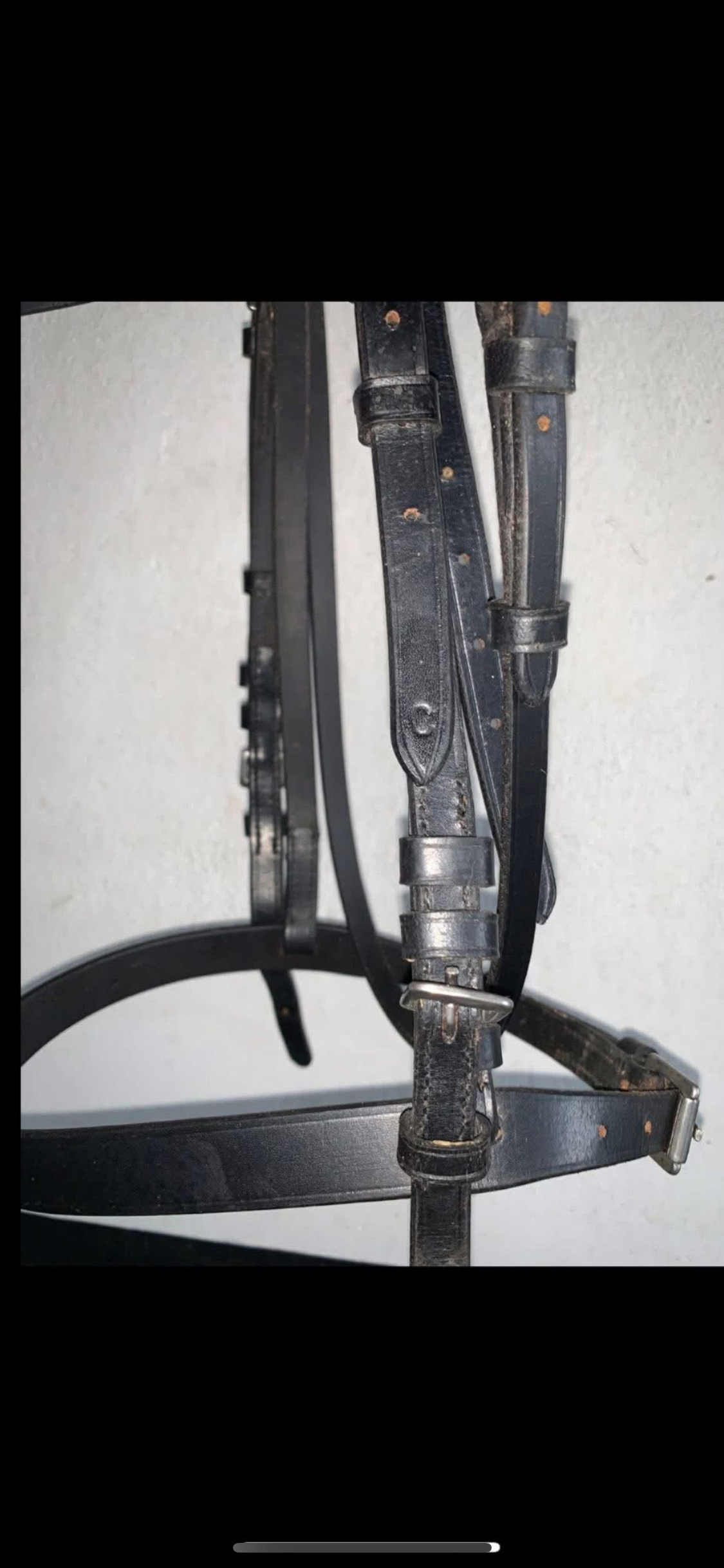 🖤✨ Like New Black Soft Leather Show/Hunt Bridle – Size Cob ✨🖤