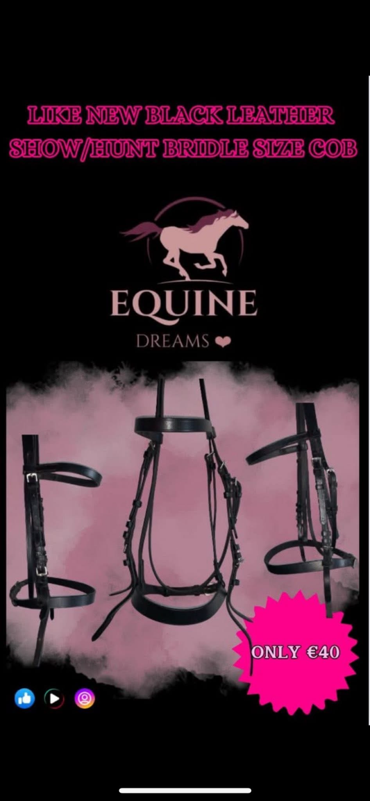 🖤✨ Like New Black Soft Leather Show/Hunt Bridle – Size Cob ✨🖤