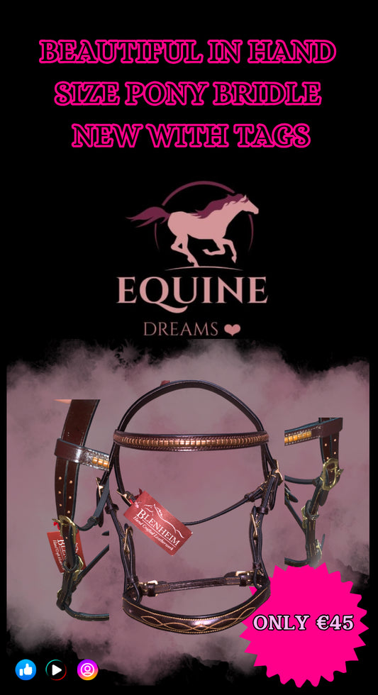 ✨ Stunning Brand New Shires In-Hand Bridle – Size Pony ✨