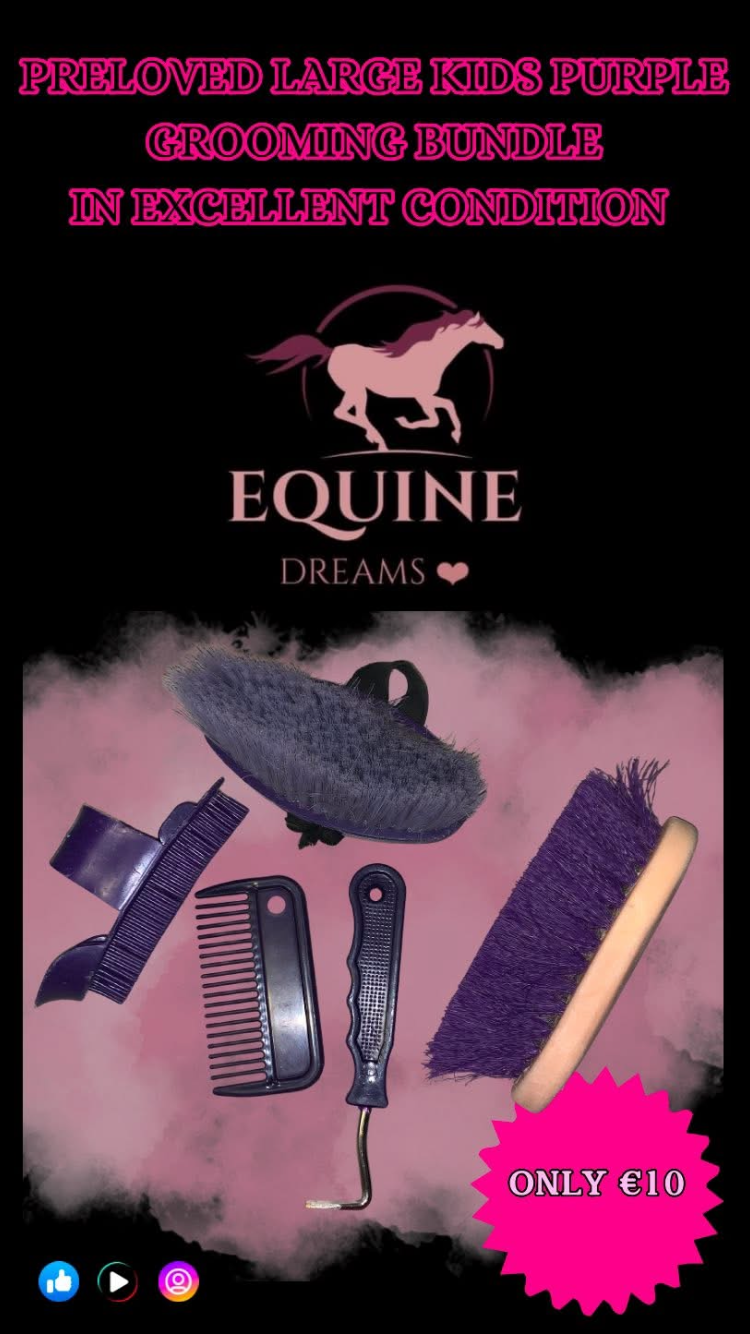 🪮 Preloved Kids Large Purple Grooming Bundle 🪮