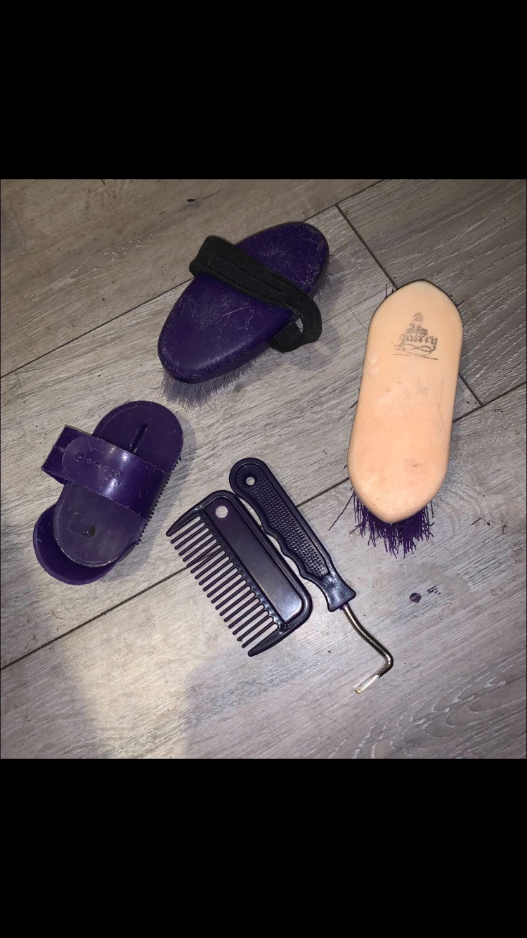 🪮 Preloved Kids Large Purple Grooming Bundle 🪮