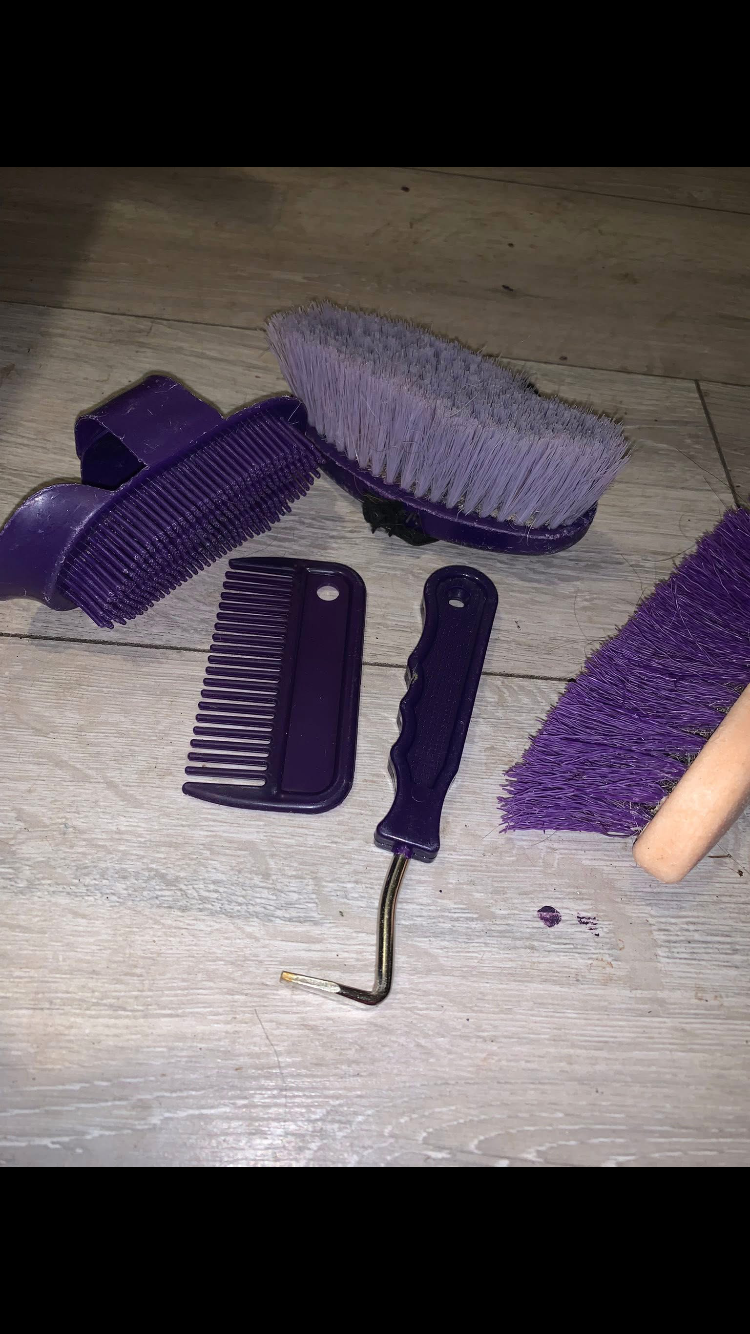 🪮 Preloved Kids Large Purple Grooming Bundle 🪮