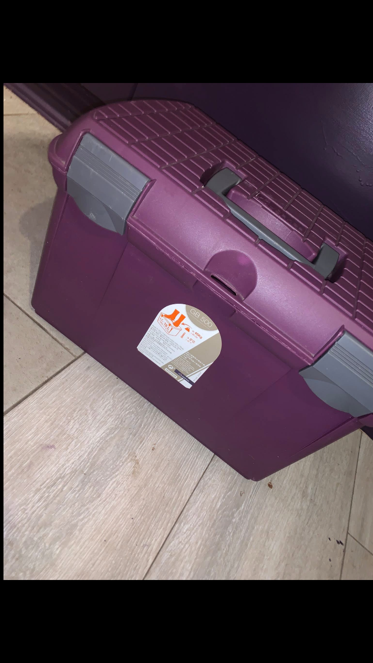 🪣 Like New Purple Large Grooming Box 🪣