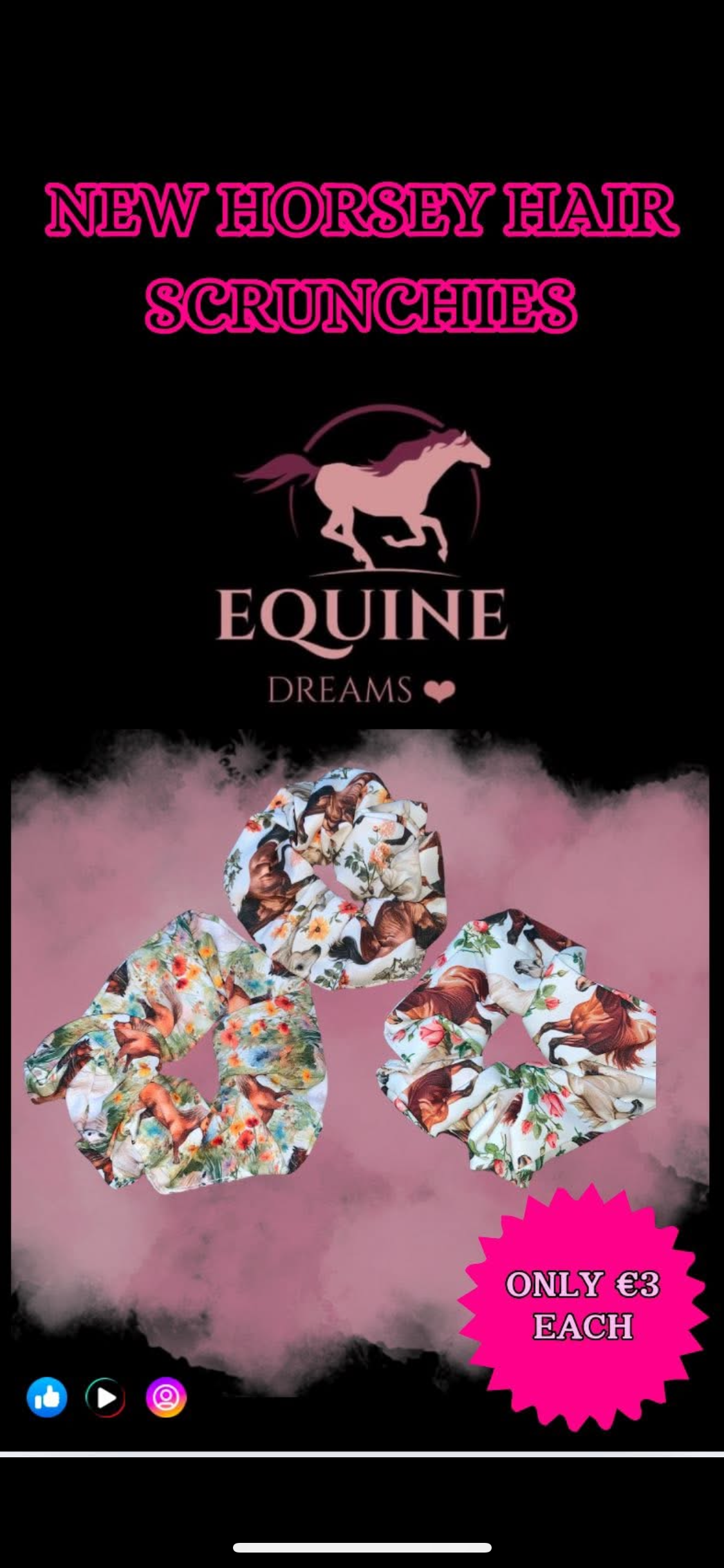 ✨ Brand New Horsey Hair Scrunchies ✨
